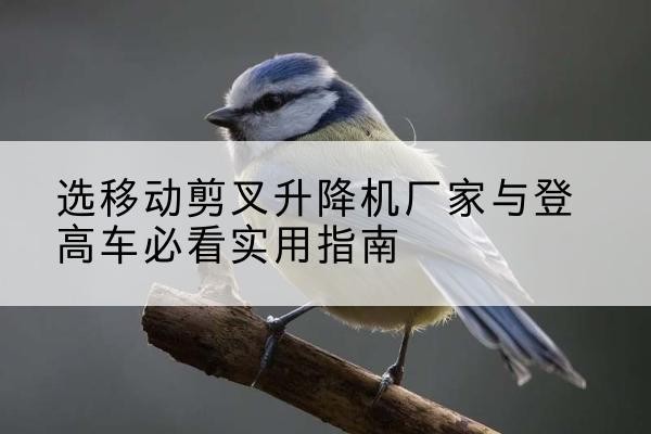 兴宁电动升降机厂家-选移动剪叉升降机厂家与登高车必看实用指南