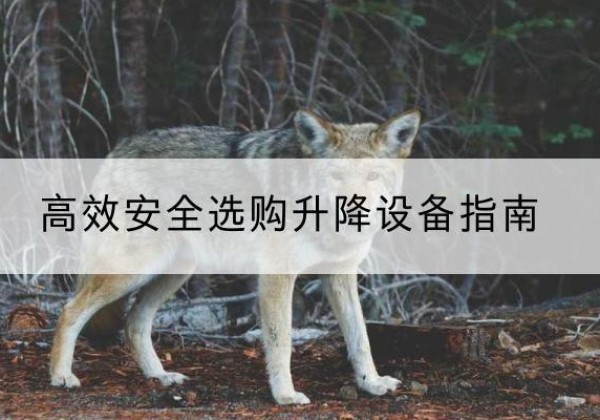 兴宁升降货梯厂家推荐-*安全选购升降设备指南